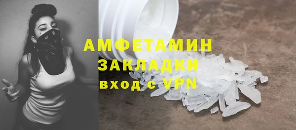 прущие грибы Няндома