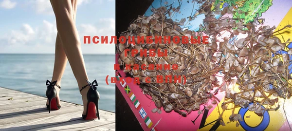 молекула духа Новокубанск