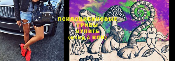 дживик Новодвинск