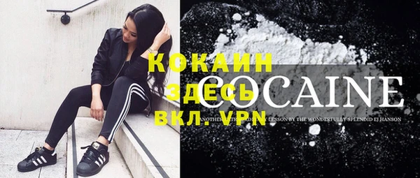 дживик Новодвинск