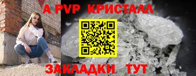 дмт Волгодонск