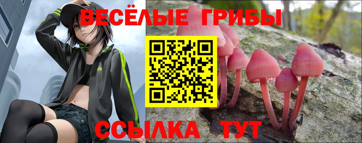 Псилоцибиновые грибы MAGIC MUSHROOMS  Вход с VPN  Качканар 